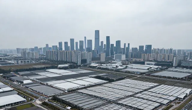 小程序短视频运营:自建团队与外包的取舍对比